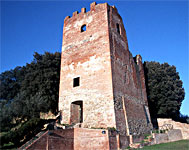 Castello Salamarzana