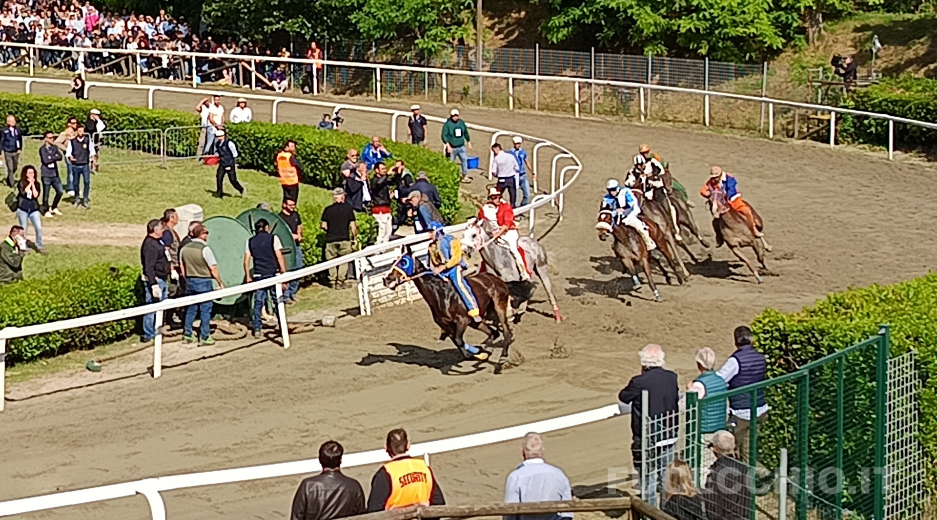 Palio di Fucecchio